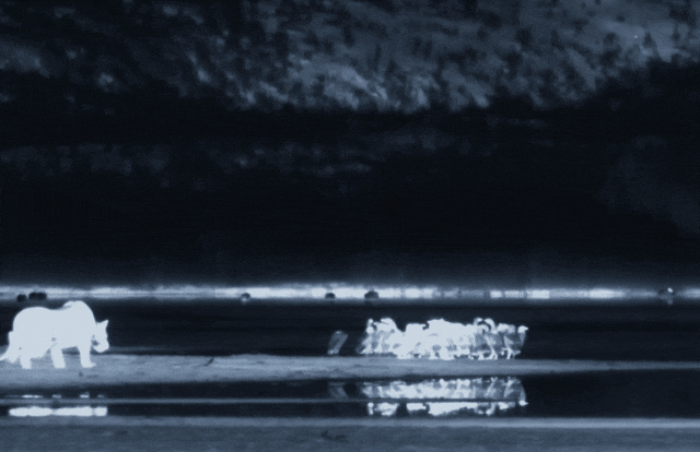 640?wx_fmt=gif ͼƬ