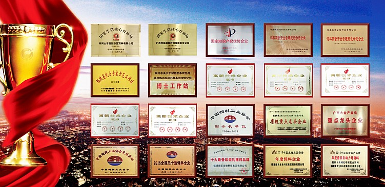 PA�콢��ƽ̨(�й���)�ٷ���վ-PA PlayAce