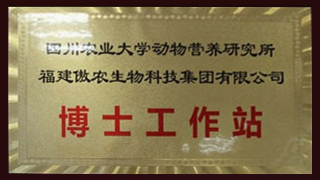 PA�콢��ƽ̨(�й���)�ٷ���վ-PA PlayAce